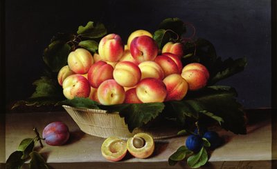 Basket of Apricots by Louise Moillon